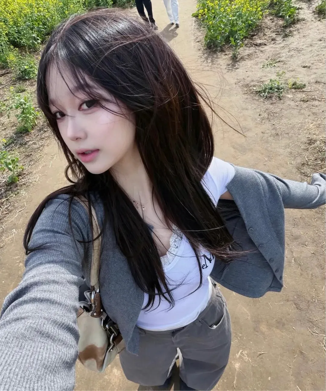 【預購】 MUCENT SUNNIOR LACE V-NECK HALF T  熱賣款 蕾絲 Ｖ領修身上衣